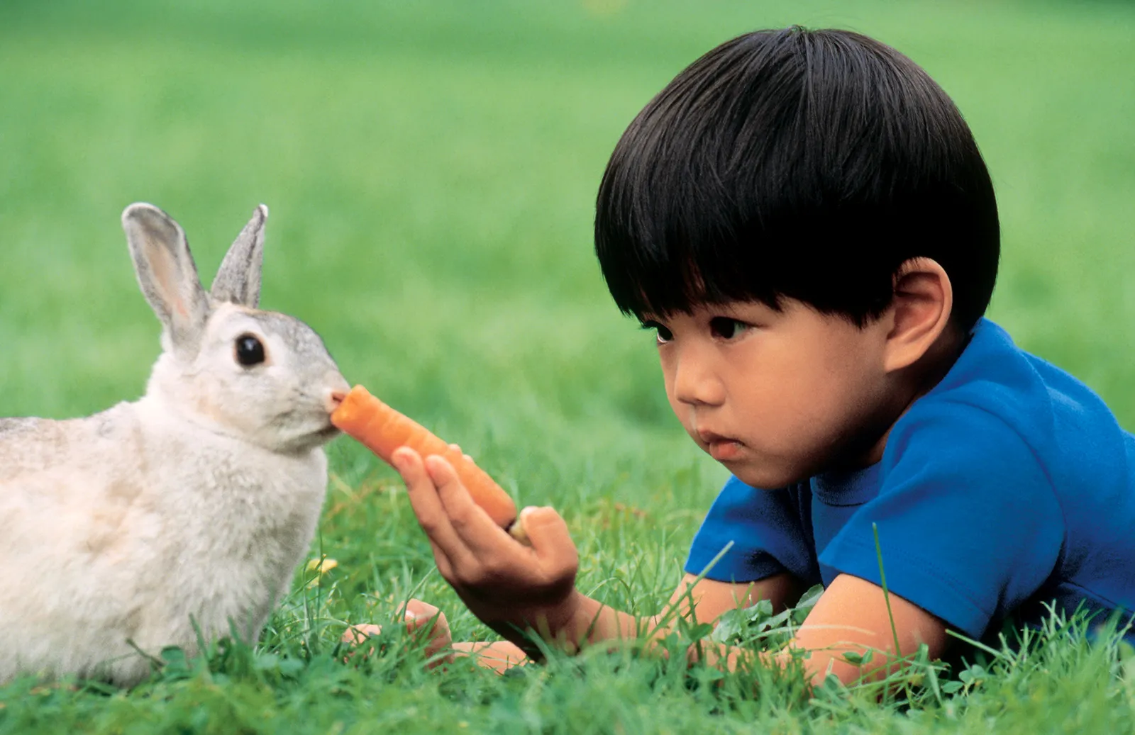 Understanding Behavior